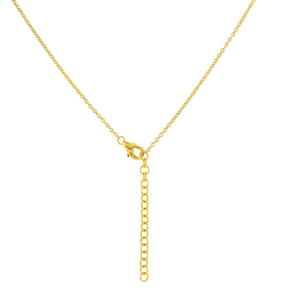 Pozlátený Strieborný Náhrdelník s Čaroitom