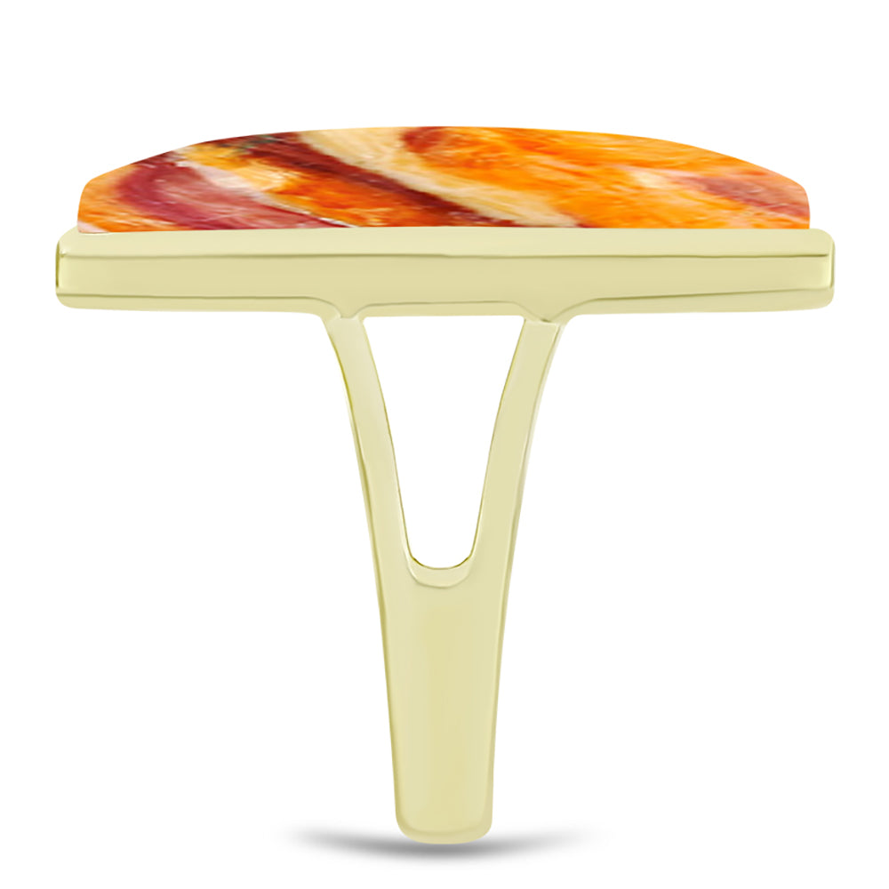 Pozlátený Strieborný Prsteň s Jaspisom Leví Tlapa 4 